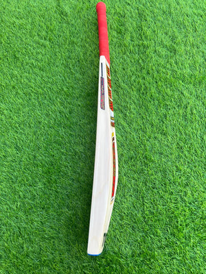4242-SS Kashmiri Willow Cricket Bat | Reliable Hardball Bat for Powerful & Precise Play