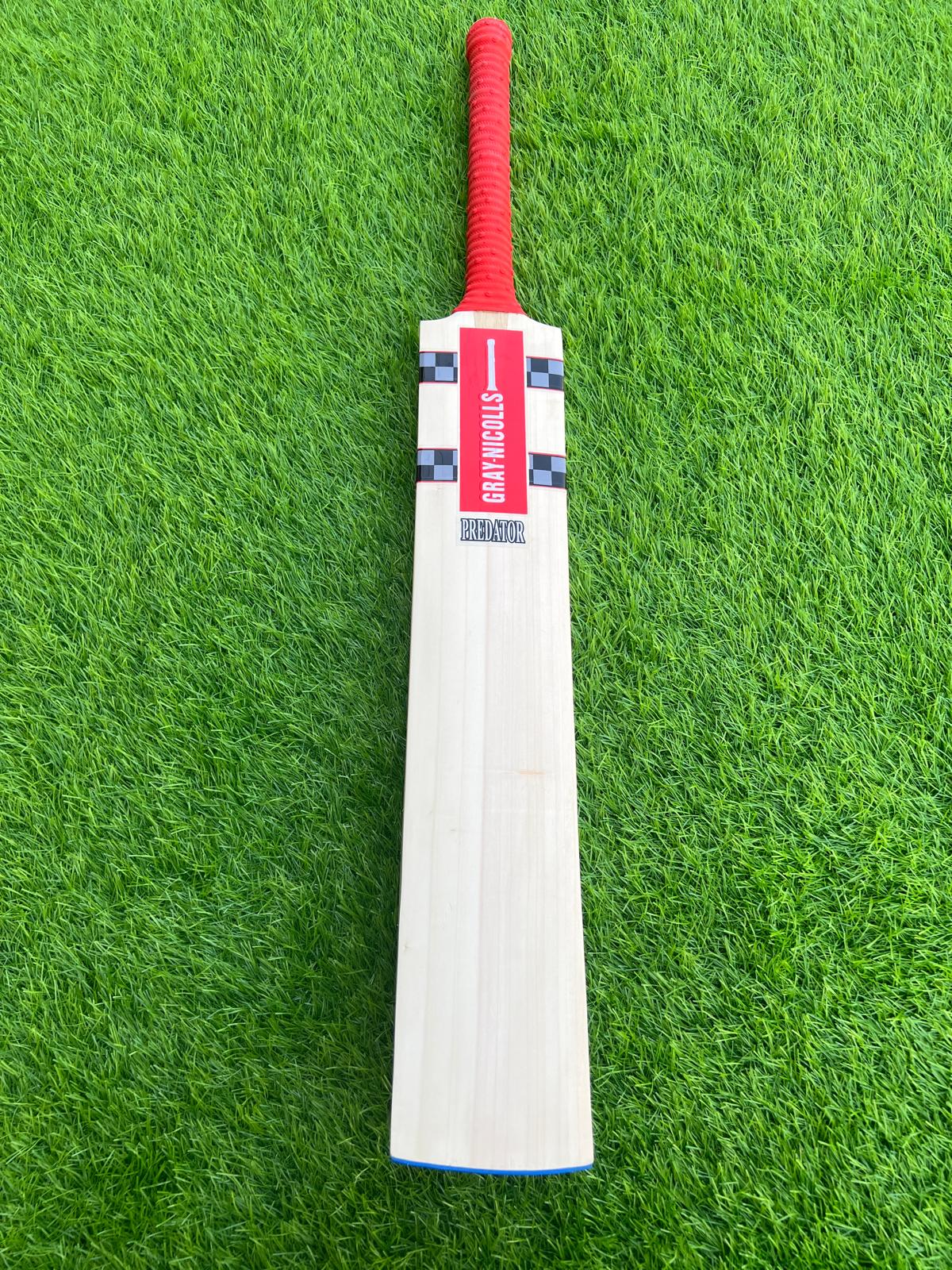 4243-Gray Nicolls Kashmiri Willow Cricket Bat | Trusted Hardball Bat for Balanced & Powerful Play