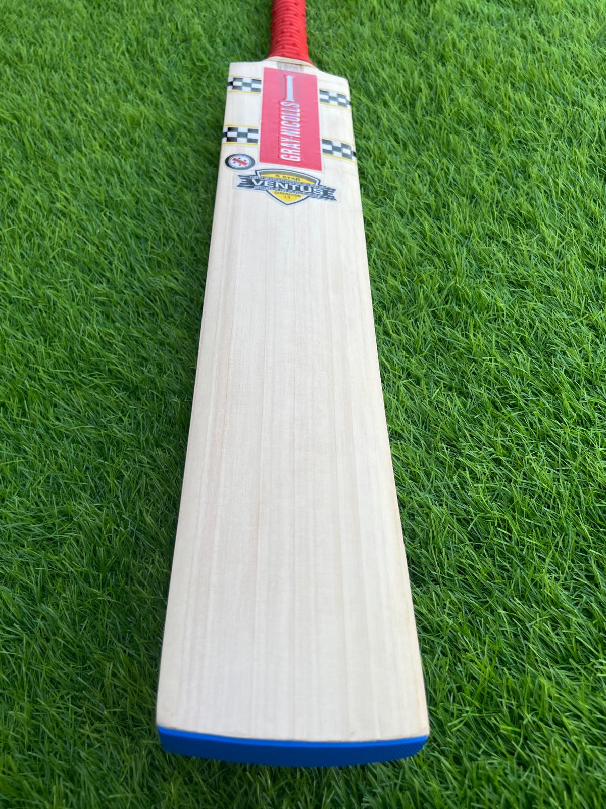4240-Gray Nicolls Kashmiri Willow Cricket Bat | High-Quality Hardball Bat for Power & Precision
