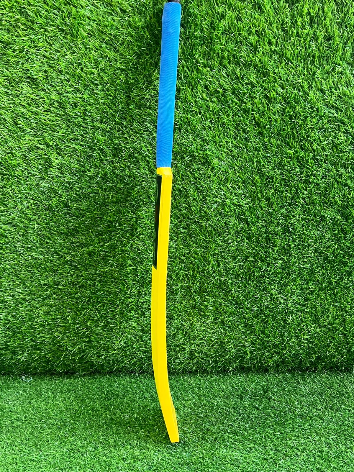 4076-CEAT Baby Bats – Mini Cricket Bats for Kids & Collectors