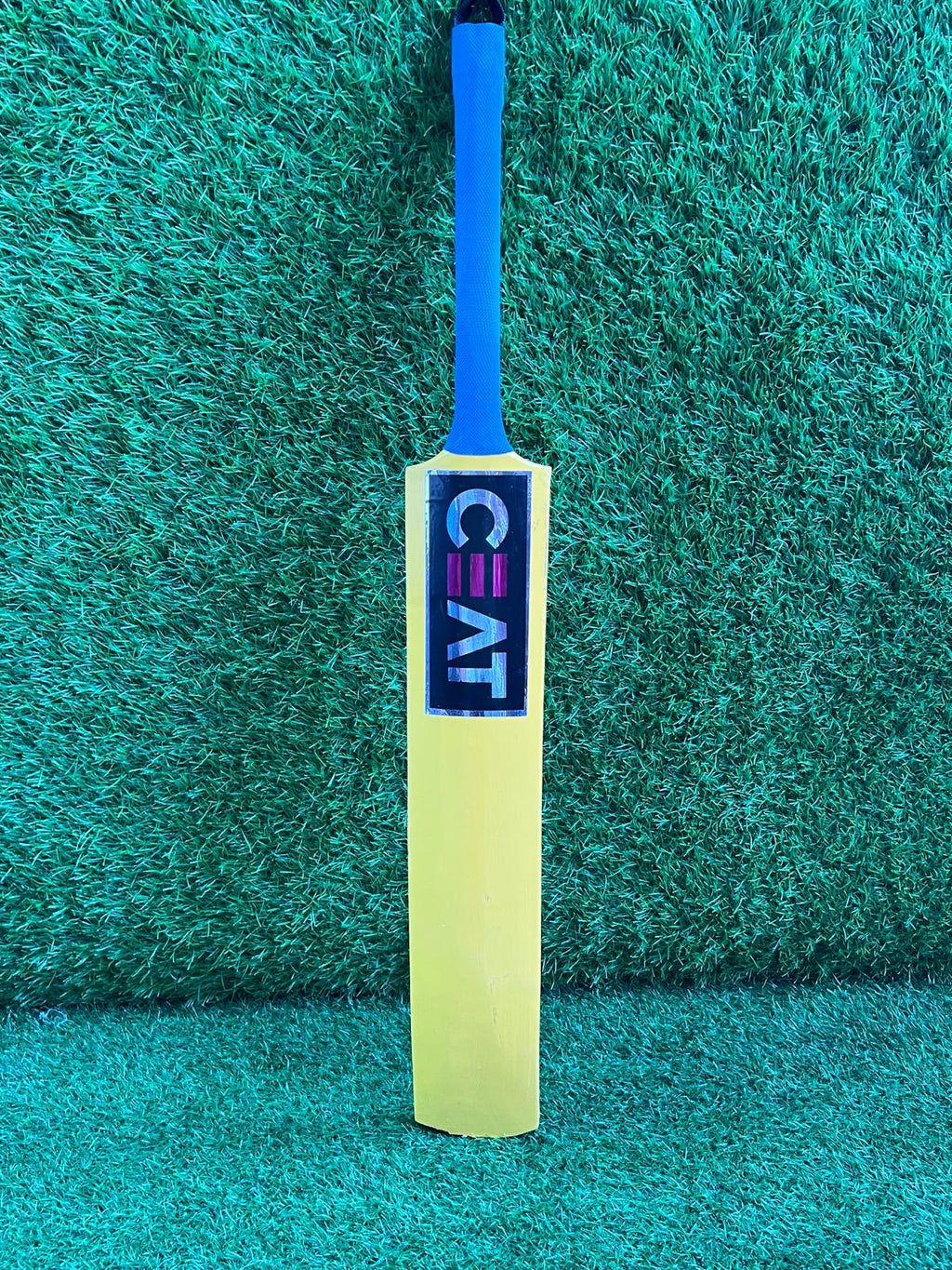 4076-CEAT Baby Bats – Mini Cricket Bats for Kids & Collectors