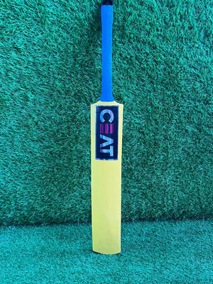 4076-CEAT Baby Bats – Mini Cricket Bats for Kids & Collectors