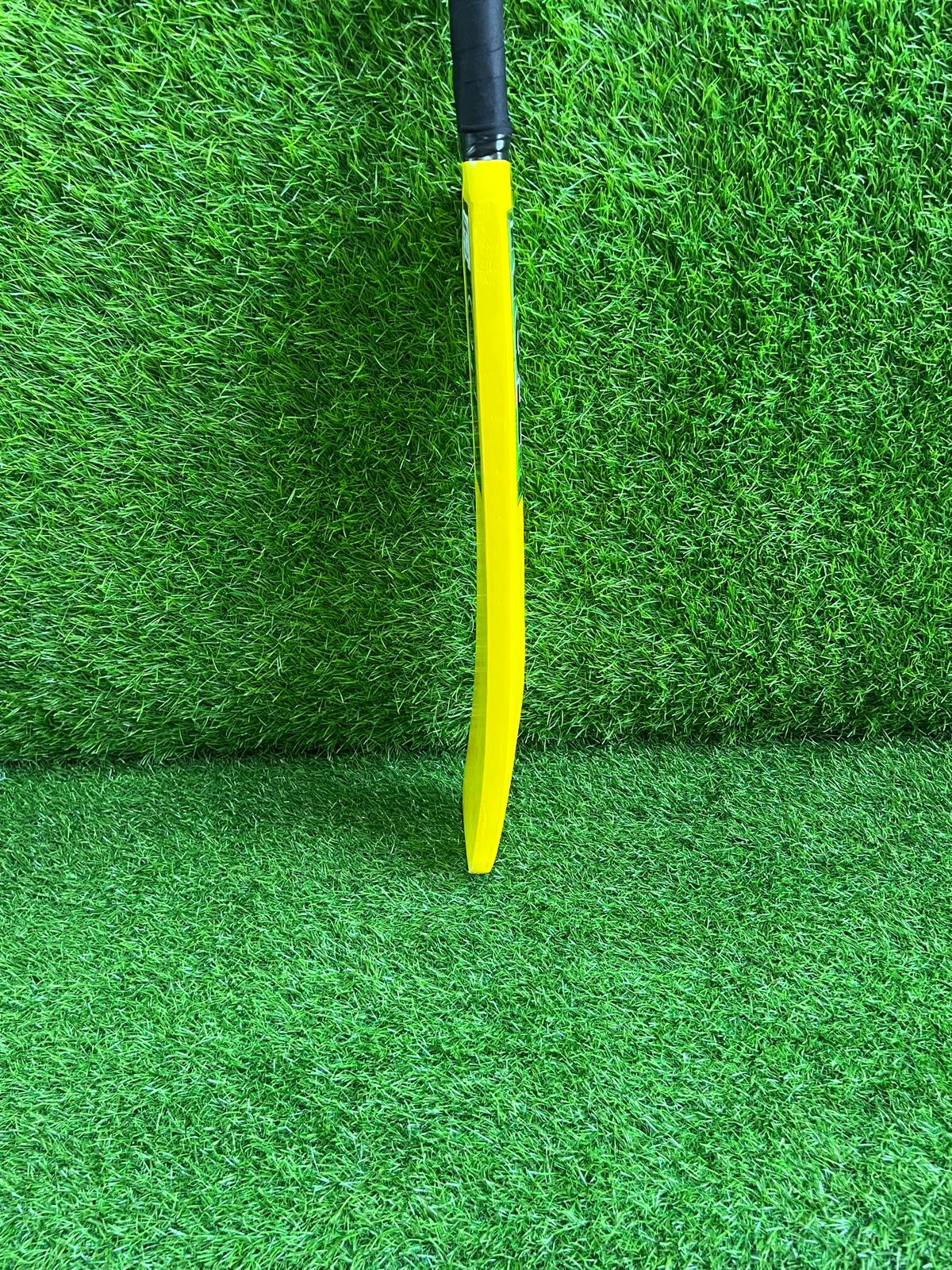 4077-TON Baby Bats – Mini Cricket Bats for Kids, Gifts & Collectors